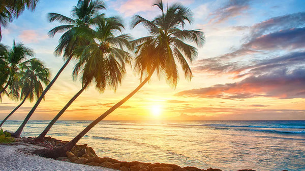HOW A TRAVEL EXPERIENCE CHANGED MY PERSPECTIVE ON LIFE FOREVER
