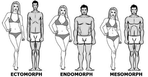 Best workout plan for mesomorph female best sale