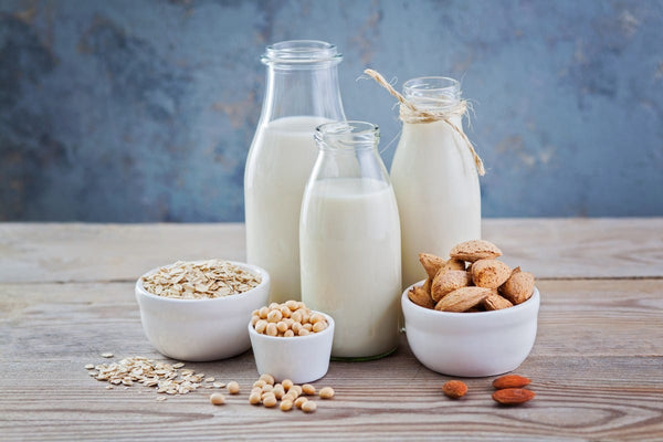 Plant-Based Milk risks and Opportunities