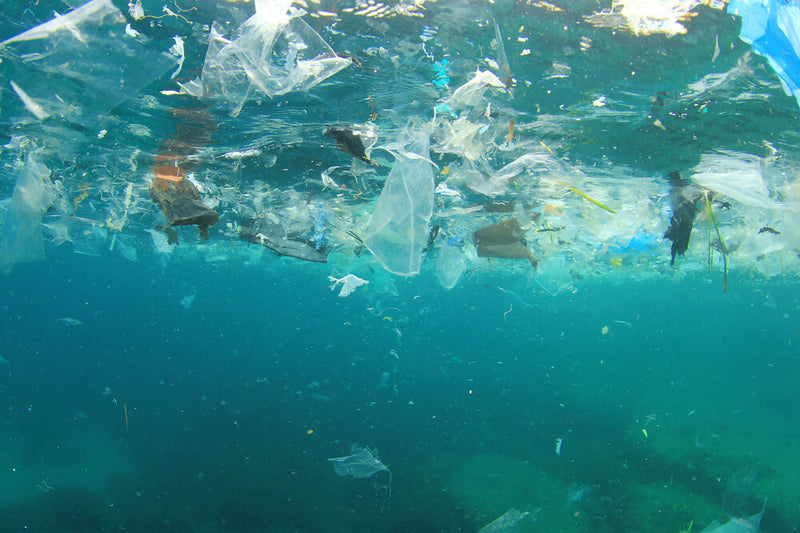 Sea Pollution: Causes, Effects and Prevention