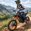 DINDO ELECTRIC DIRT BIKE