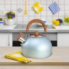 Tea Kettle 3L  Stainless Steel  Whistling Universal