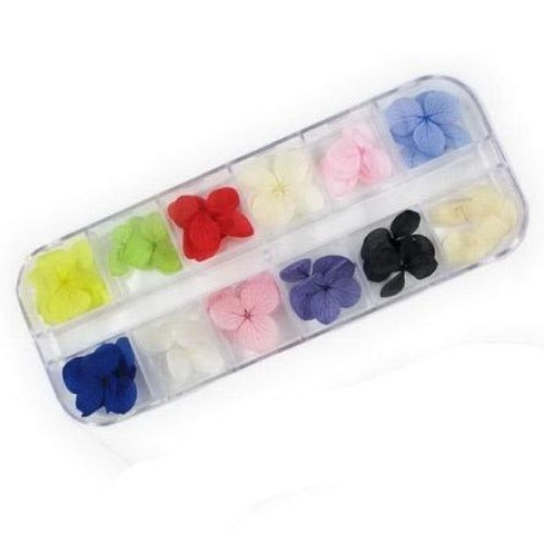 12 Color Dried Flowers Nail Art