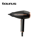 TAURUS Shining 2400 Ionic Dryer Product