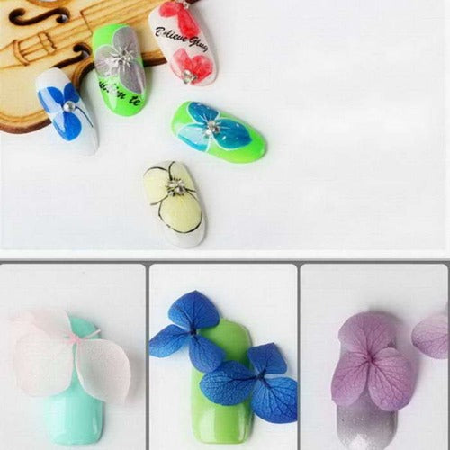 12 Color Dried Flowers Nail Art