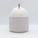 Humidifier A11