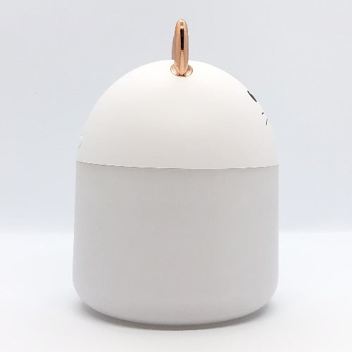 Humidifier A11