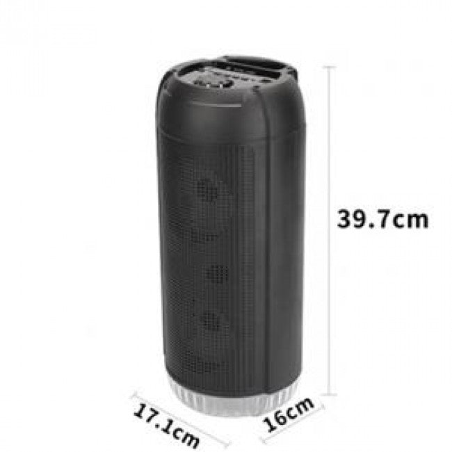 Wireless Speaker KTS-1269