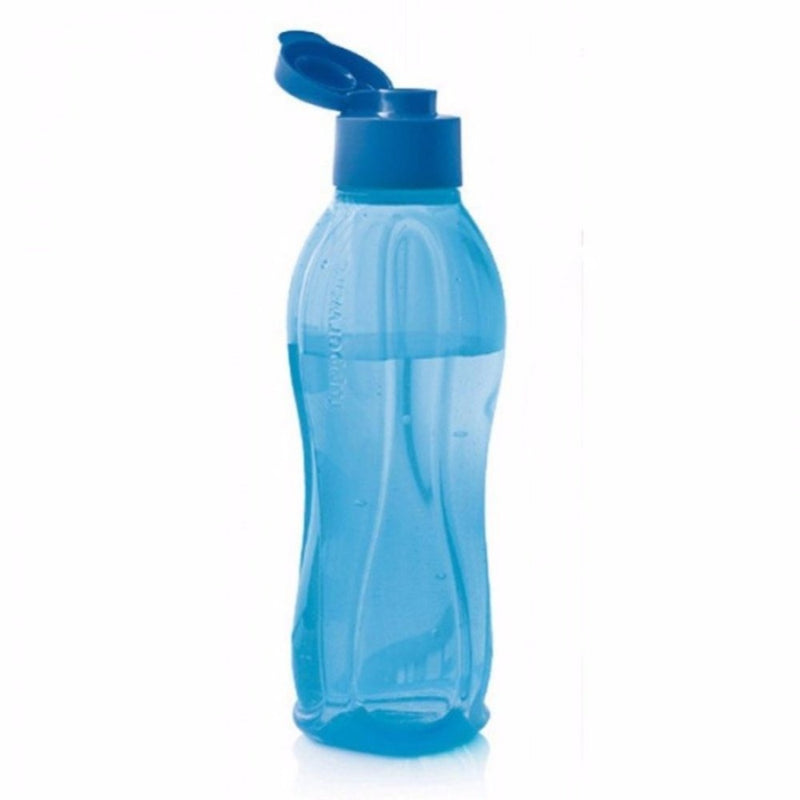 Eco-Friendly Bottle (500 ML)