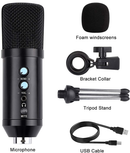 Castries Professional Microphone