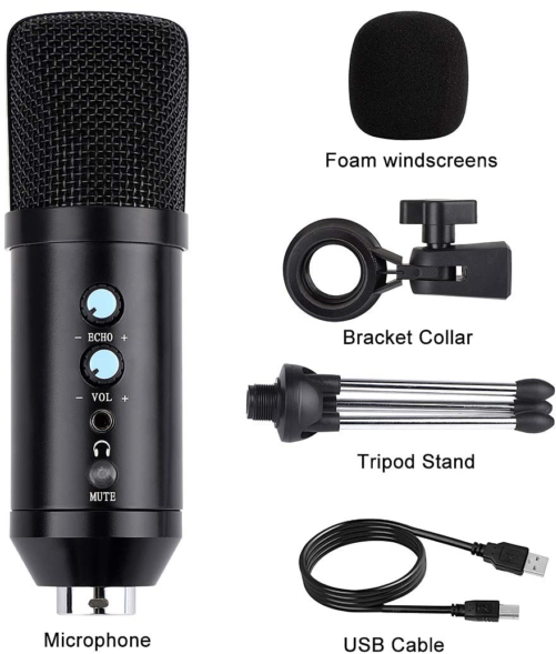 Castries Professional Microphone